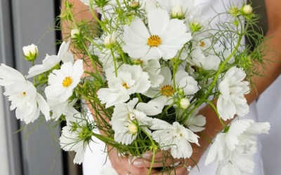 High Acres Farm Shelburne Wedding