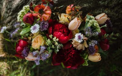 Oakledge Treehouse Wedding
