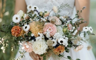 Fresh Mixed with Dried