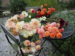 West Lane Flowers West Lane Flowers